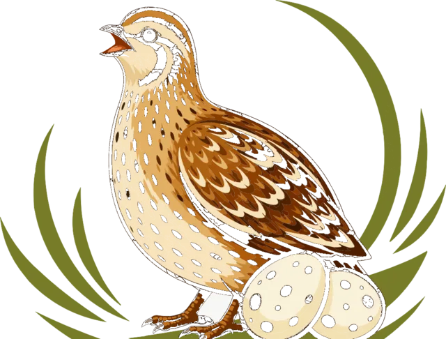 Wachtel Niederrhein Logo