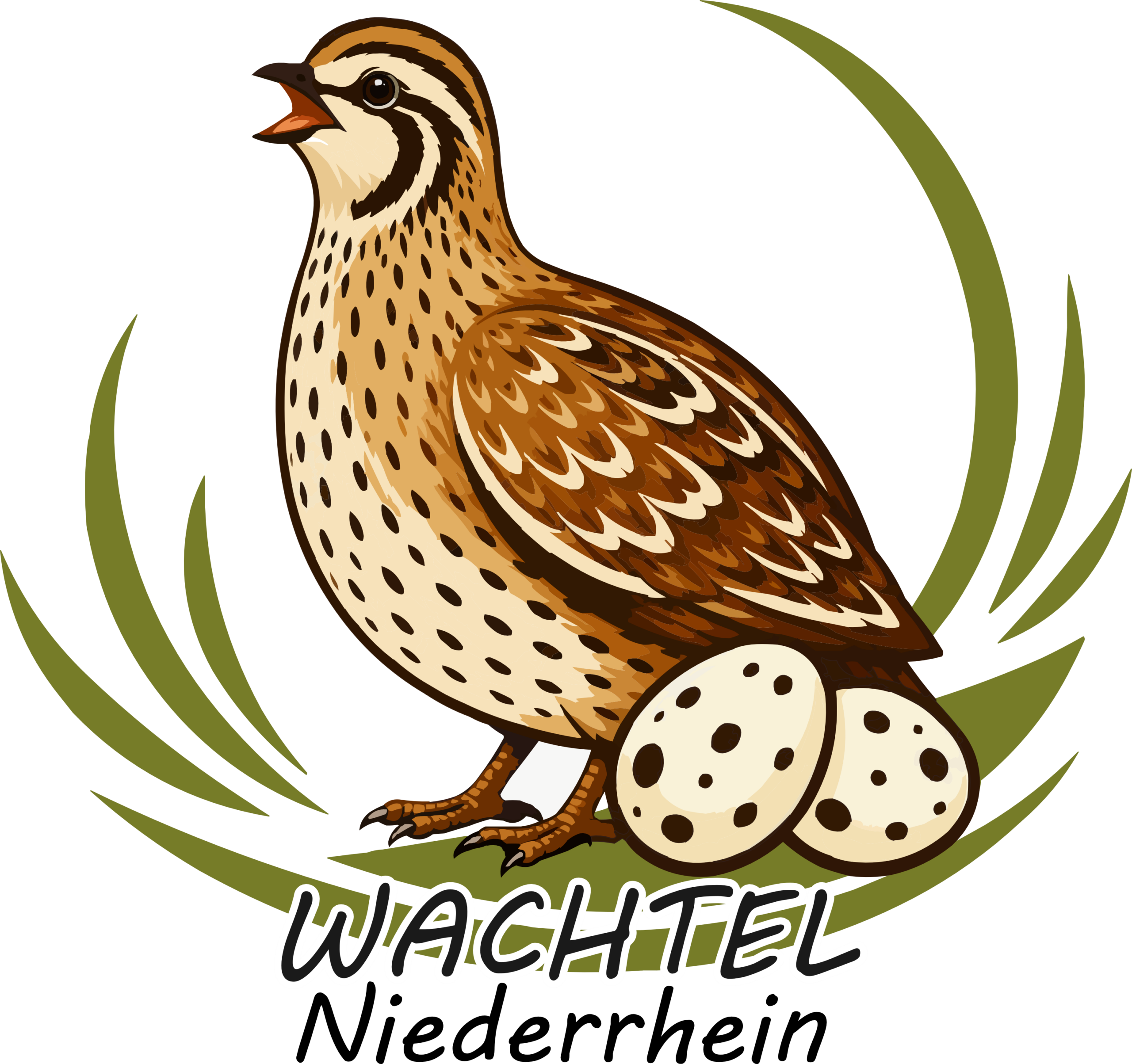 Wachtel Niederrhein Logo Wachtel Niederrhein Logo